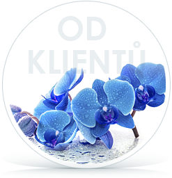 REFERENCE OD KLIENTŮ